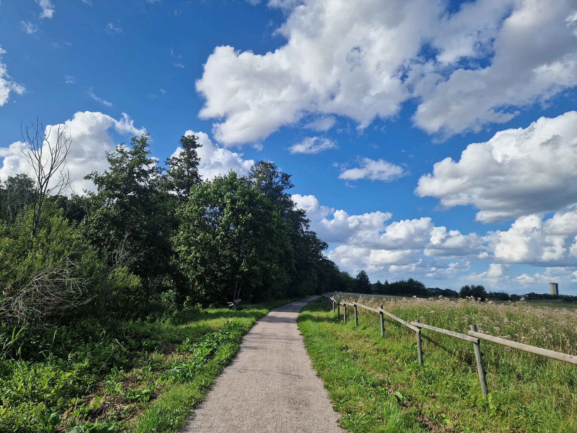 A nice landscape